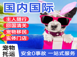 西安航空邮寄国际宠物托运 【国